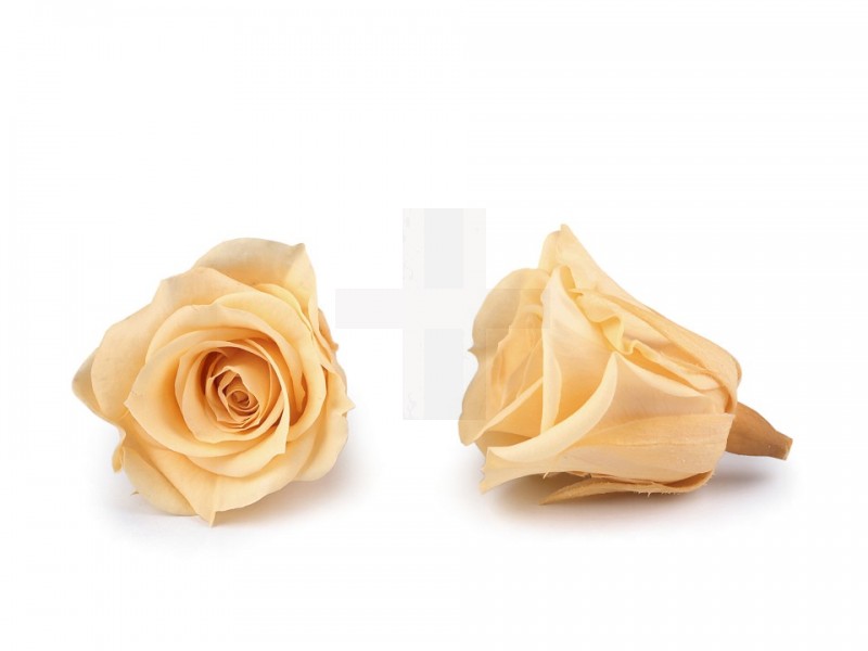 Dekoration Rose - 9 St./Packung Hochzeit Dekoration