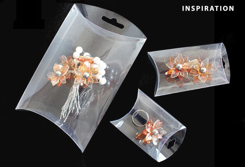 Transparente Kunststoffbox zum Aufhängen - 10 St./Packung Boxen, Säckchen