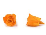 Dekoration Rose - 9 St./Packung Hochzeit Dekoration