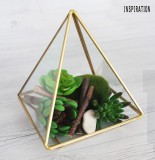 Pyramide Aerarium / Florarium Holz,Glas Dekozubehör