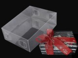 Transparente Kunststoffbox mit Deckel - 10 St./Packung Styropor, Plastik